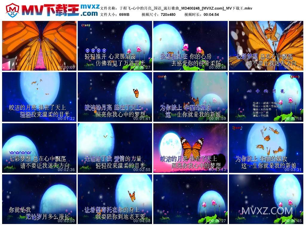 于程飞-心中的月亮_国语_流行歌曲_MD400248